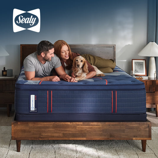 Couple with a dog on a Sealy mattress in a bedroom setting