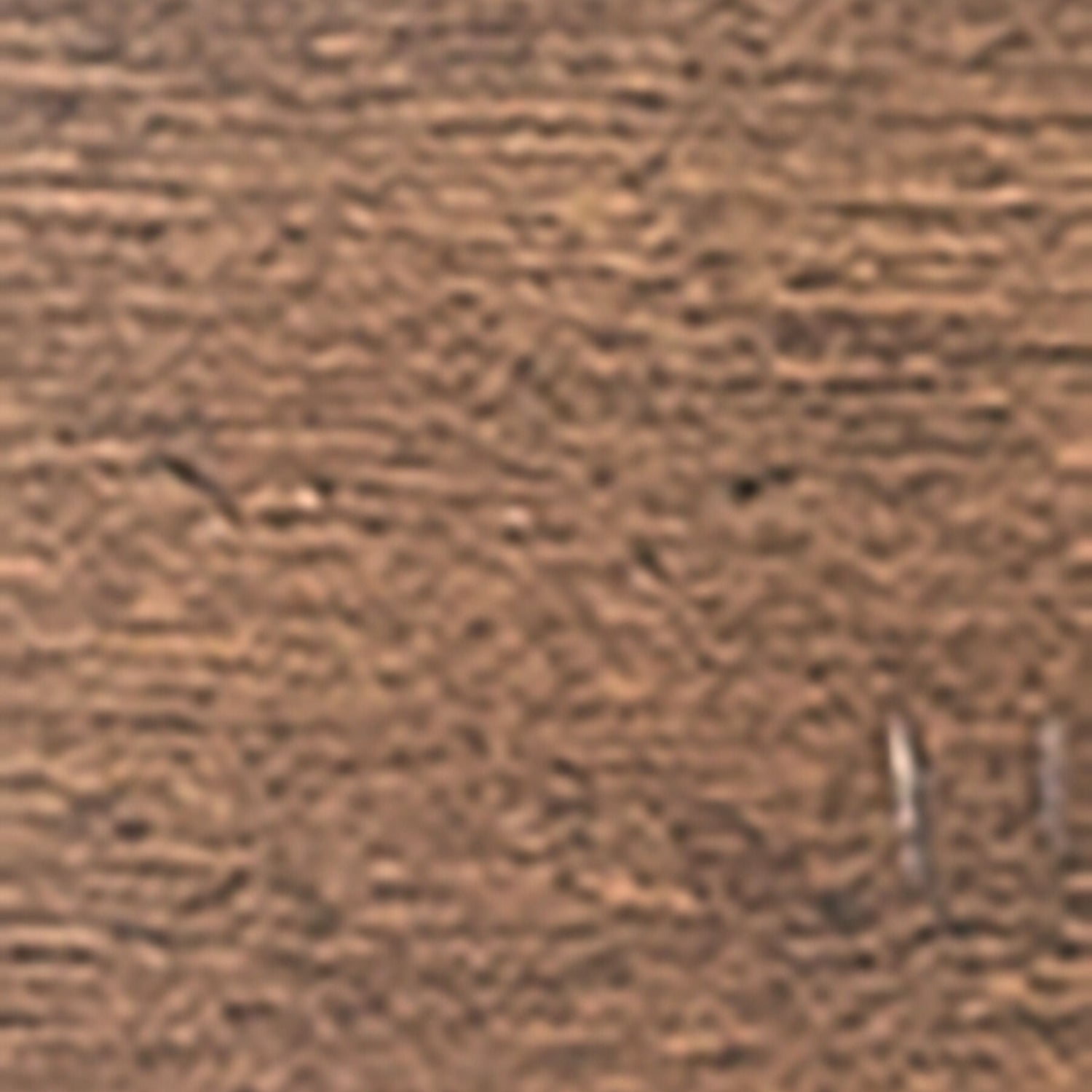 Swatch for the District Copper 5 Piece Dining Set