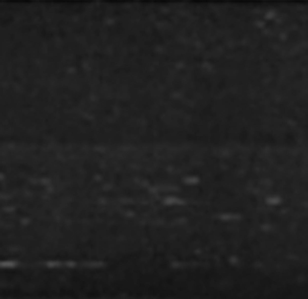 Swatch for the Colfax Espresso Futon Frame