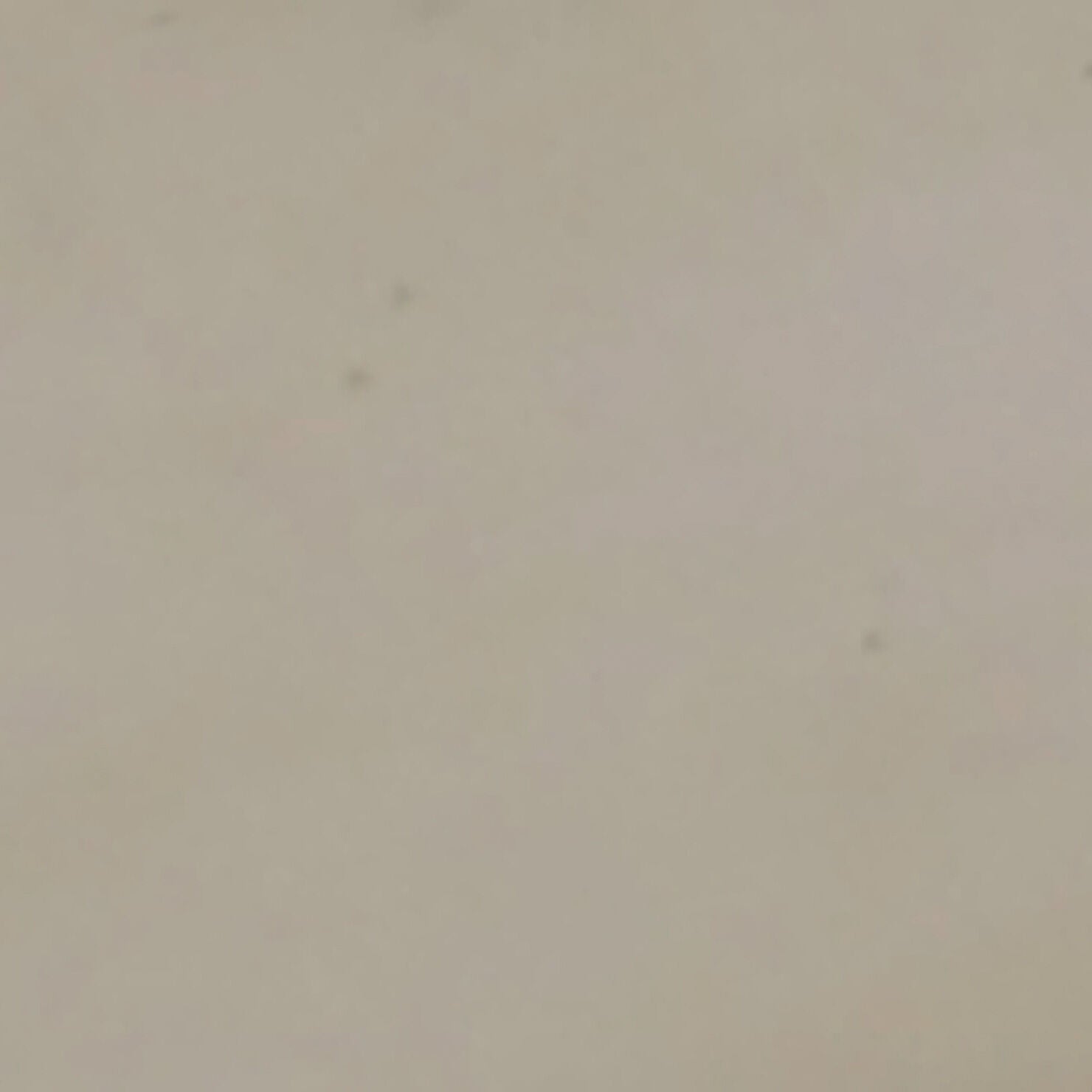 Swatch for the Clover Buttercream Murphy Cabinet Bed