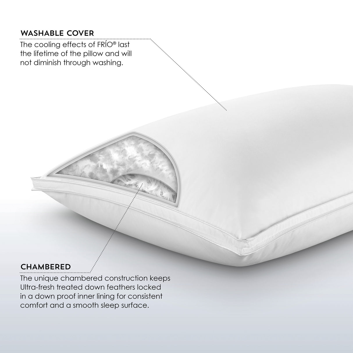 PureCare Sub-0 Down Complete Pillow - QK1021286_PURE_IS2_OL