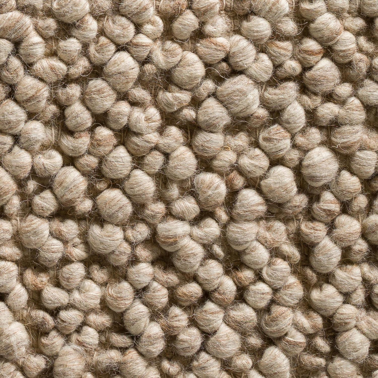 Swatch of the Gorbea Latte 5x8 Rug