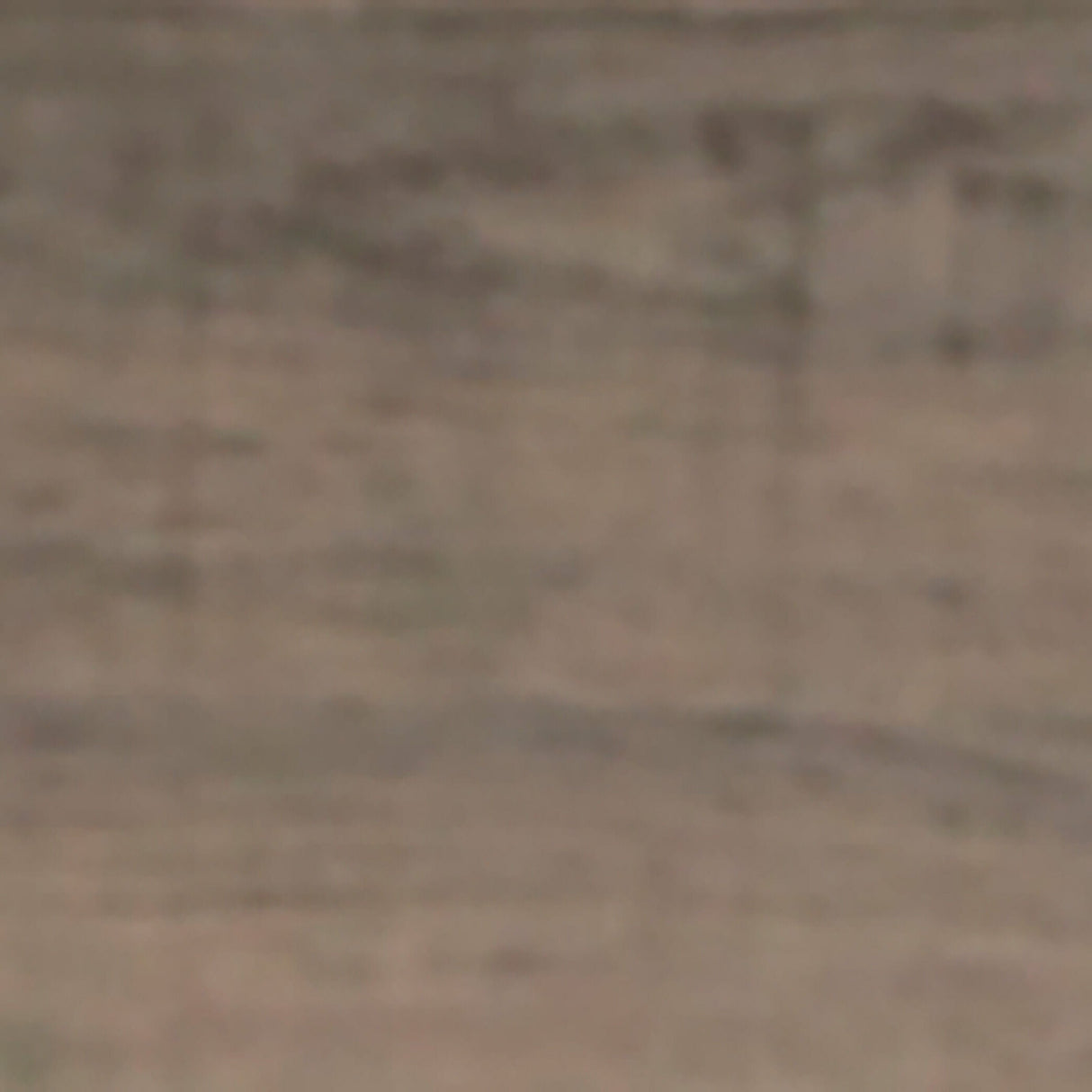 Juararo Panel Headboard