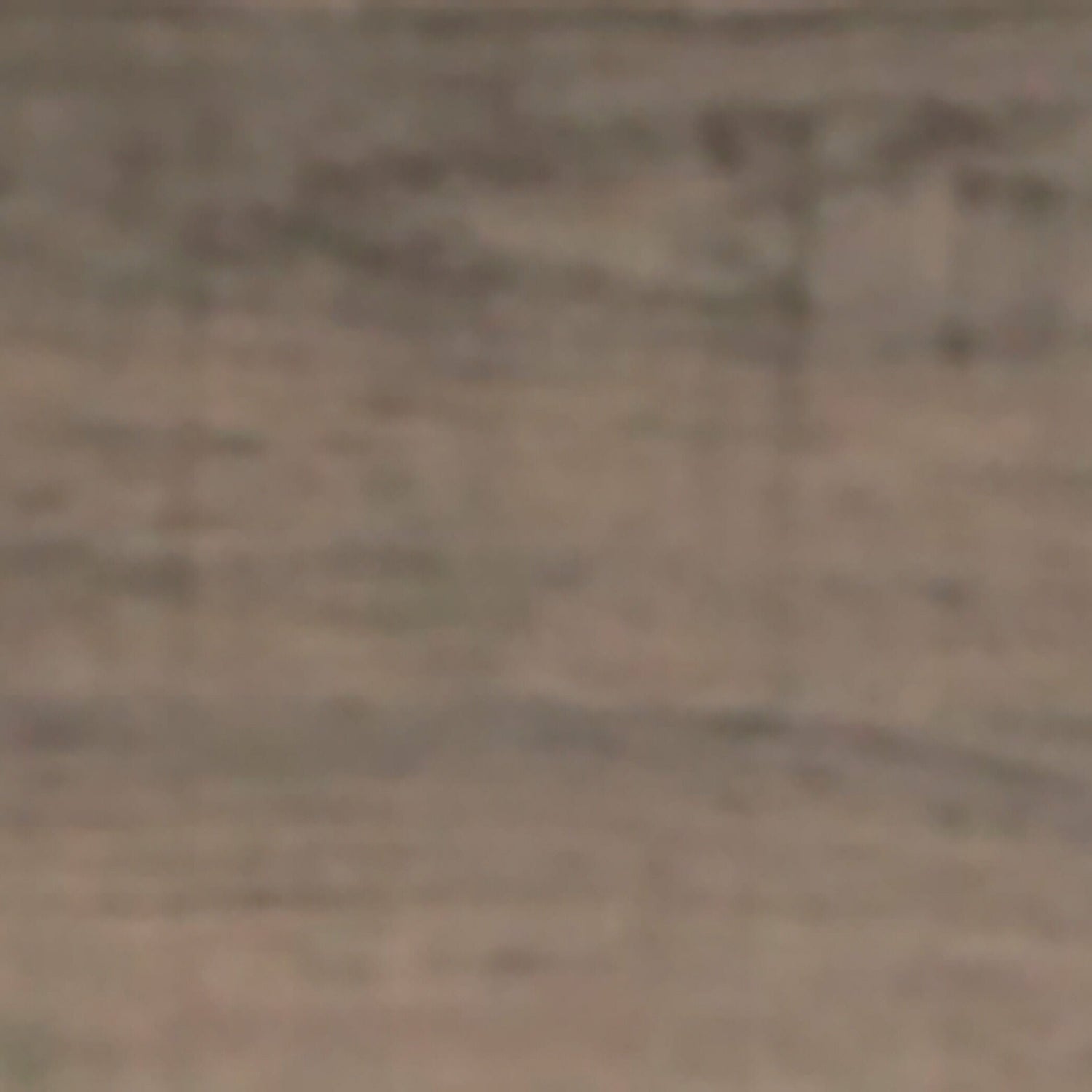 Juararo Panel Headboard