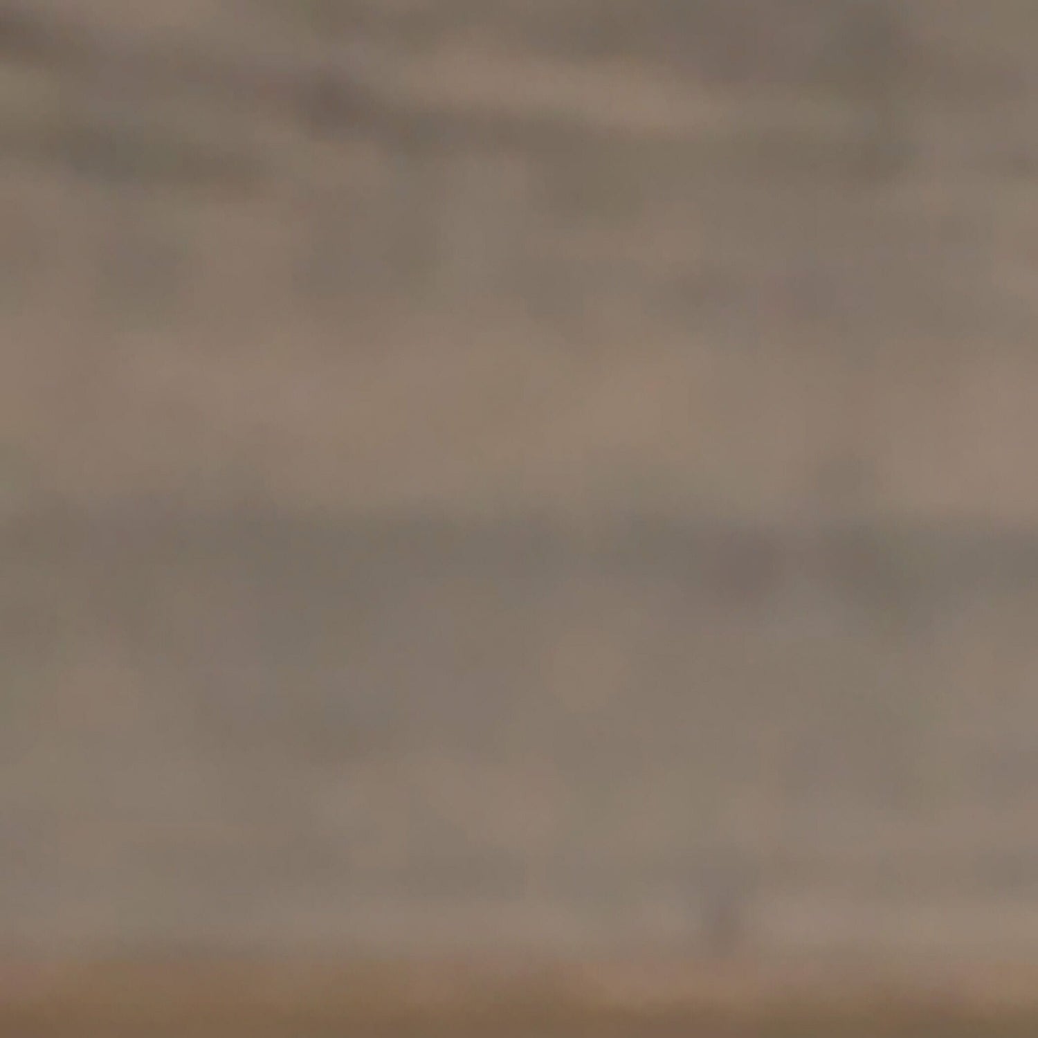 Juararo Panel Headboard