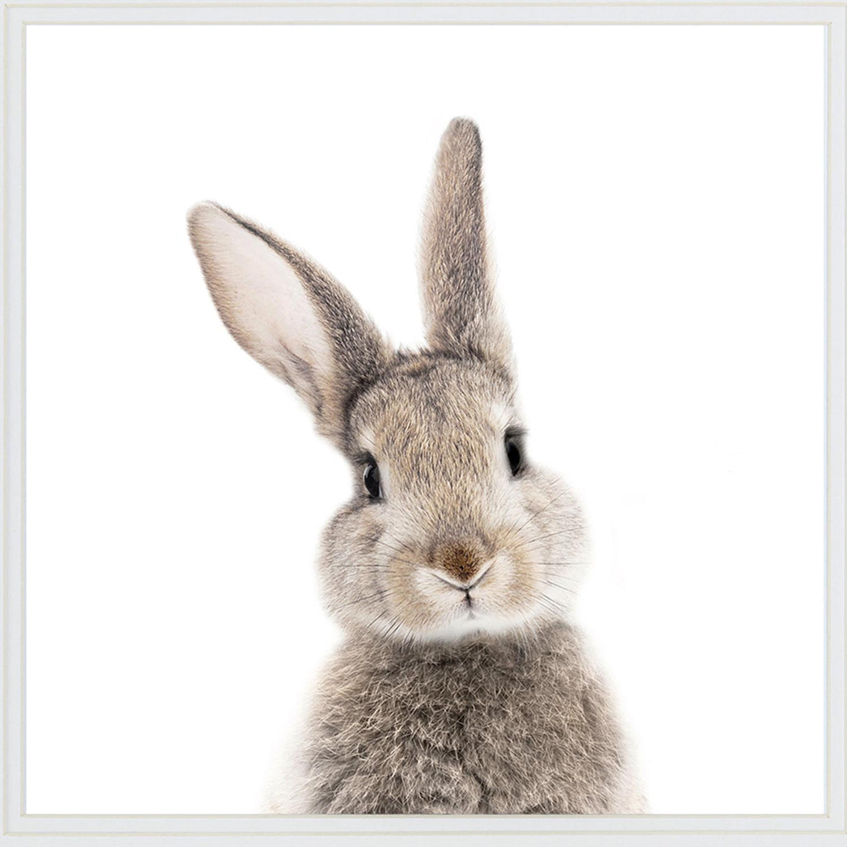 Swatch of the Kids Rabbit Face Wall Art