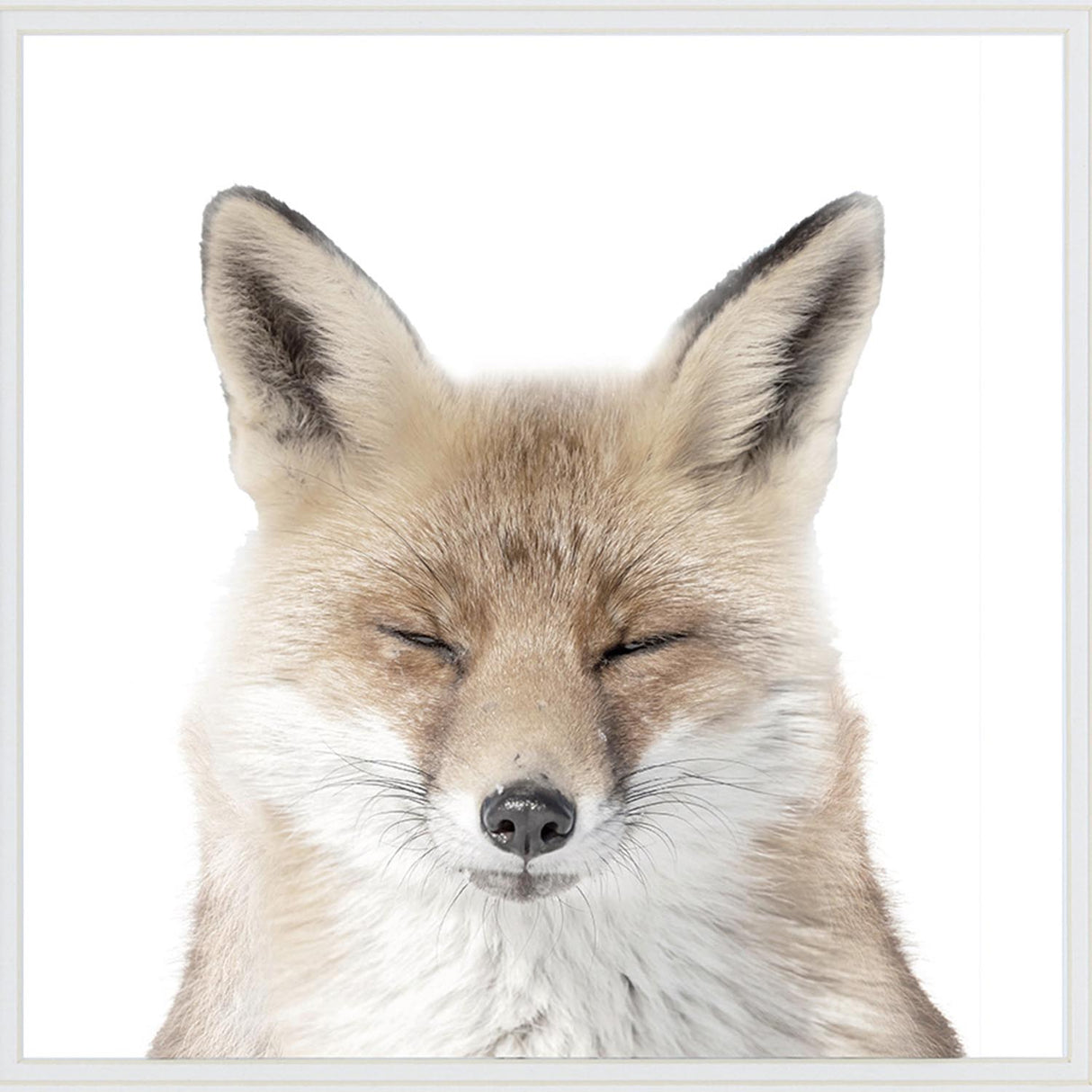 Swatch of the Kids Fox Face Wall Art