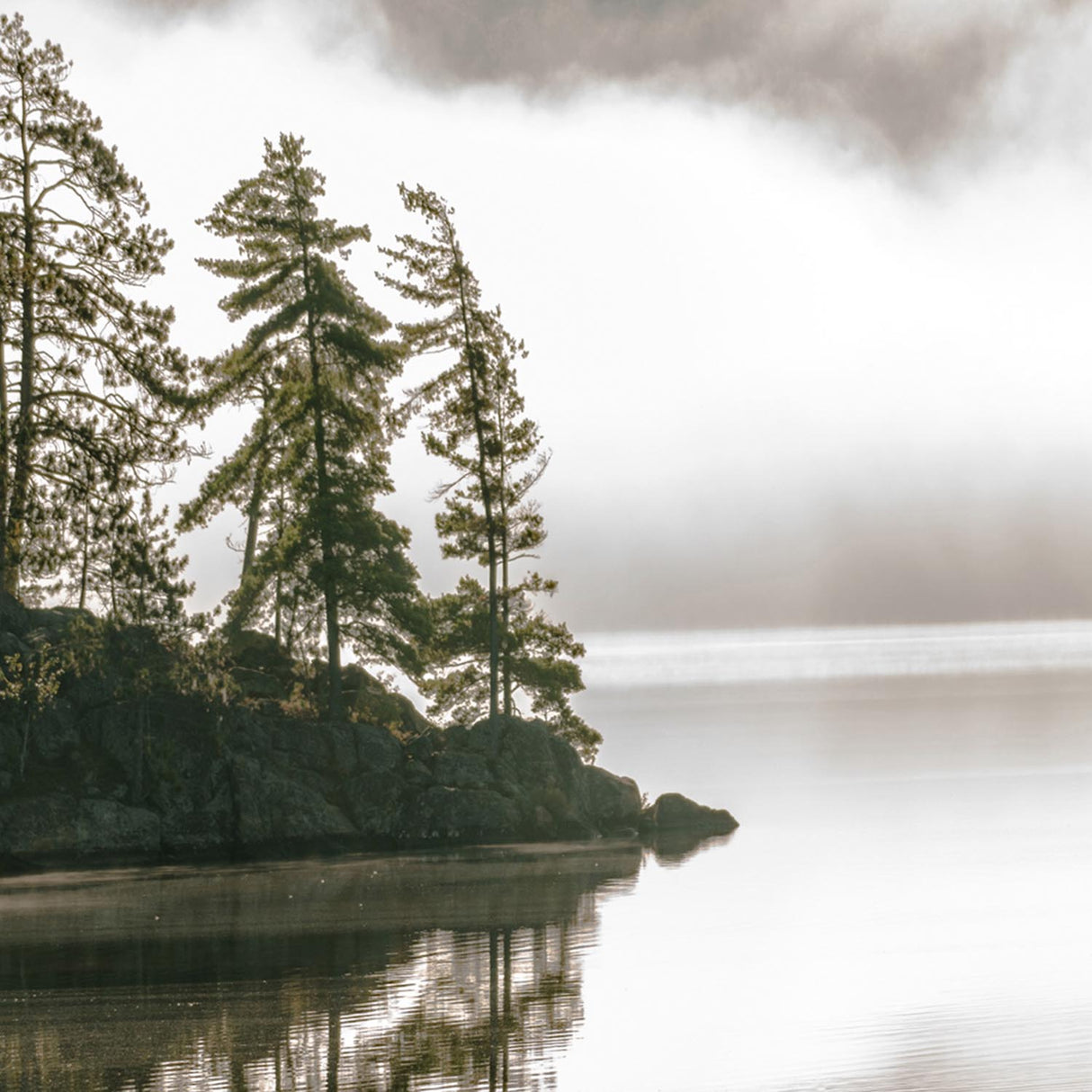 Swatch of the Heartland Home Fishing Wall Art