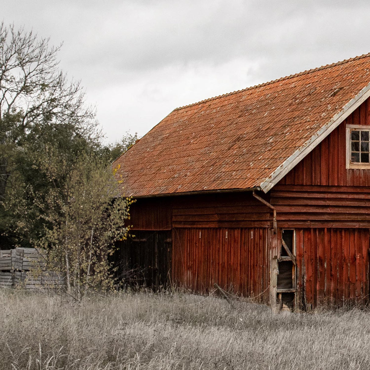Swatch of the Barn II Wall Art