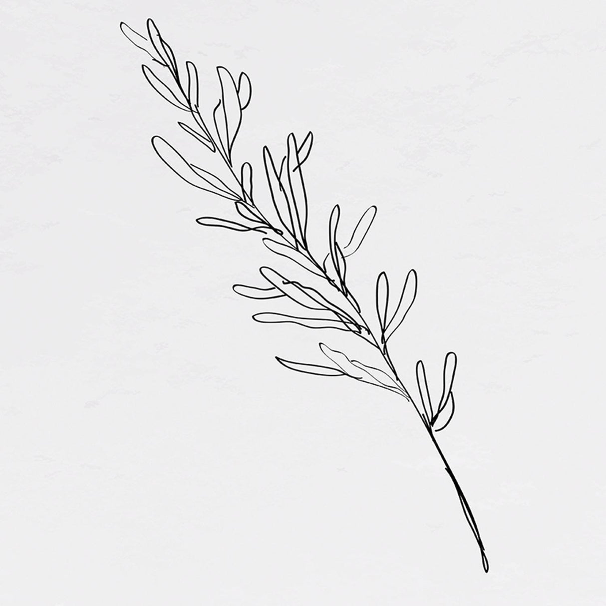 Swatch of the Ink Leaf III Wall Art