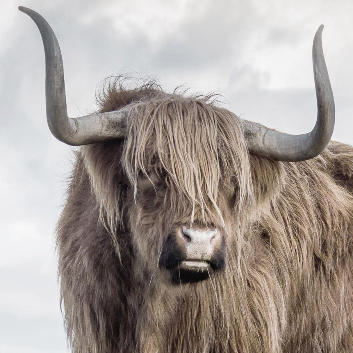 Swatch of the Raging Wall Art