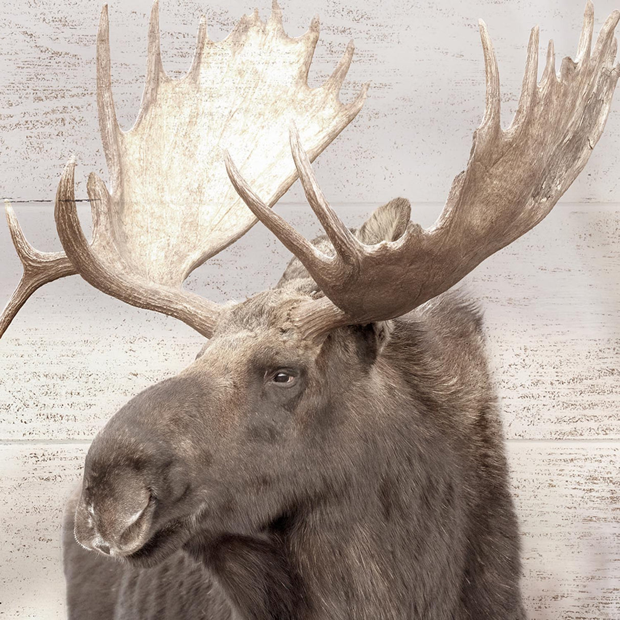 Swatch of the Moose Wall Art