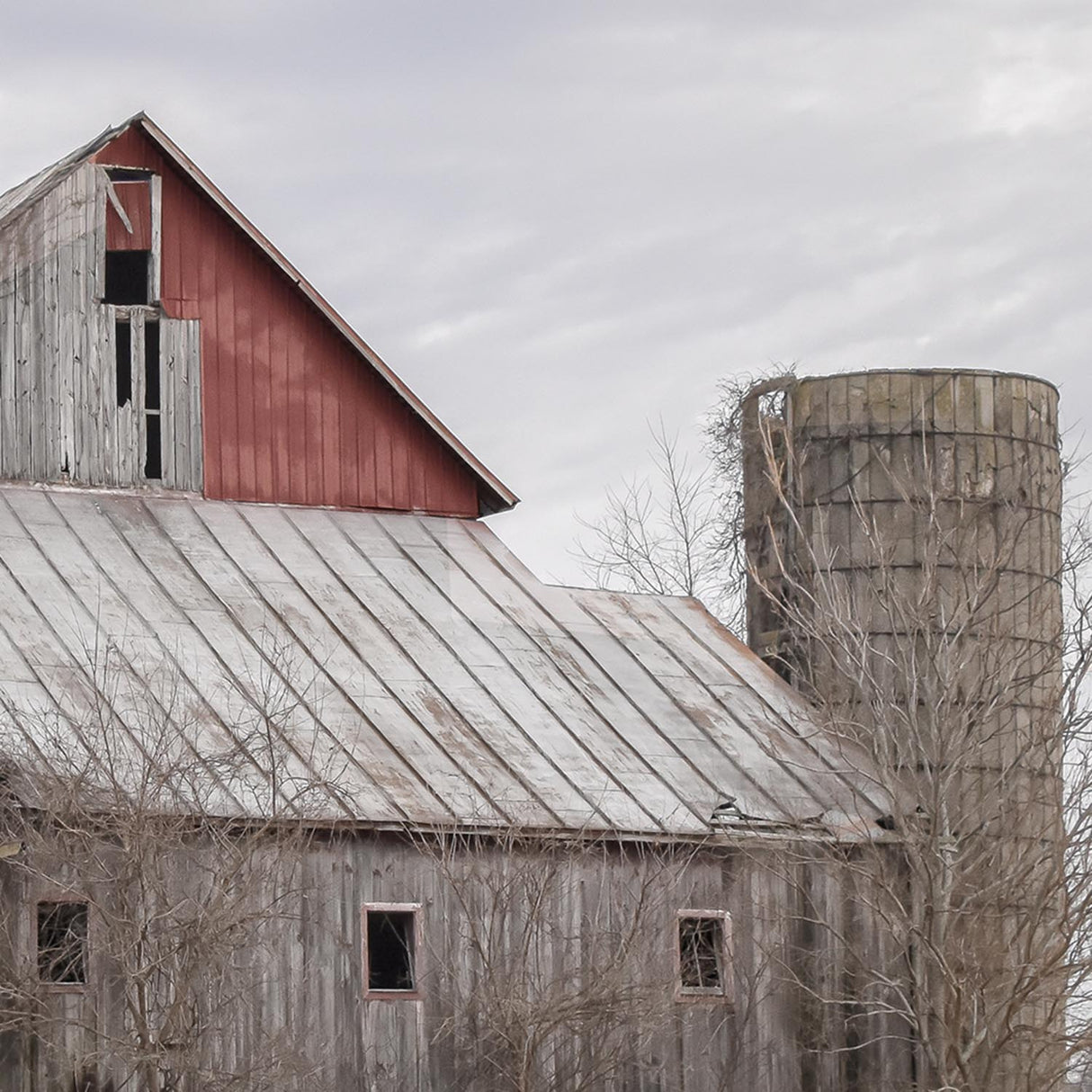 Swatch of the Huge Barn Wall Art