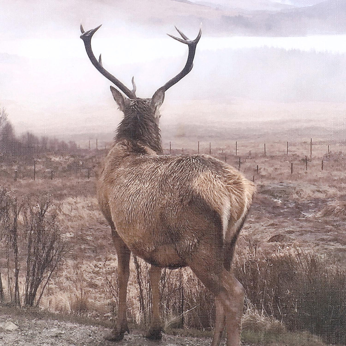 Swatch of the Back To Forest Wall Art