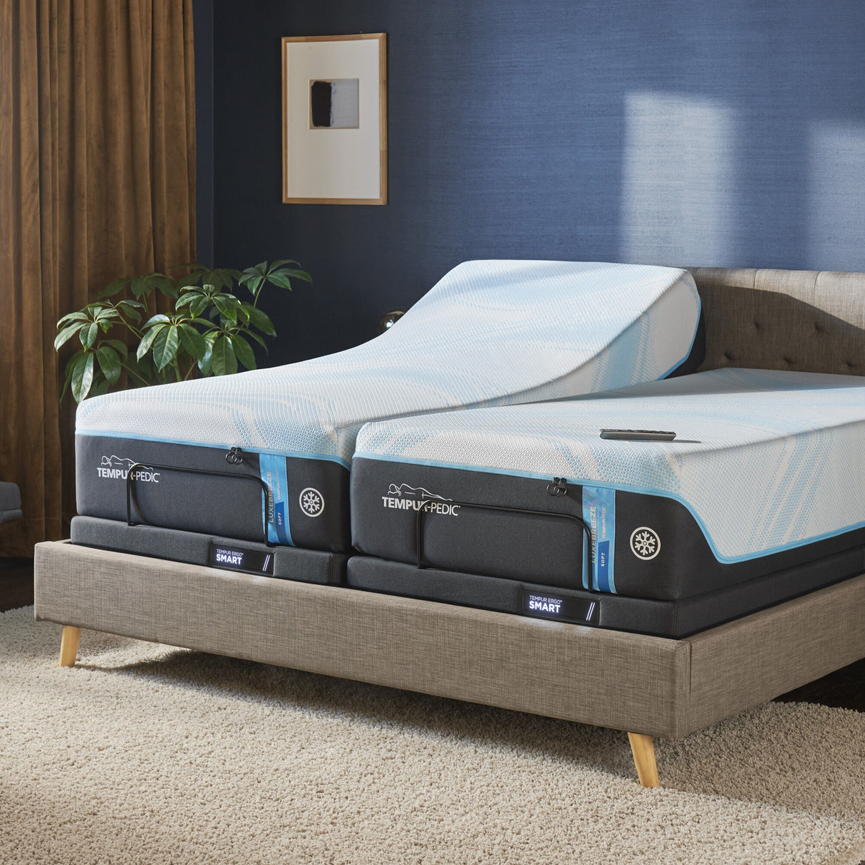 Tempur-Pedic Ergo Smart Base - QK1066546_TEMU_LF2_RM