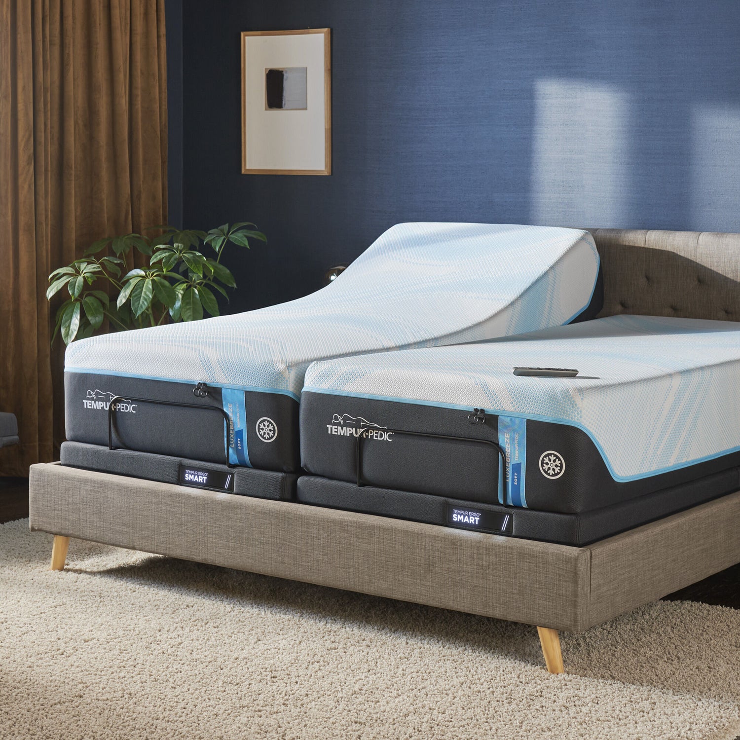 Tempur-Pedic Ergo Smart Base - QK1066546_TEMU_LF2_RM