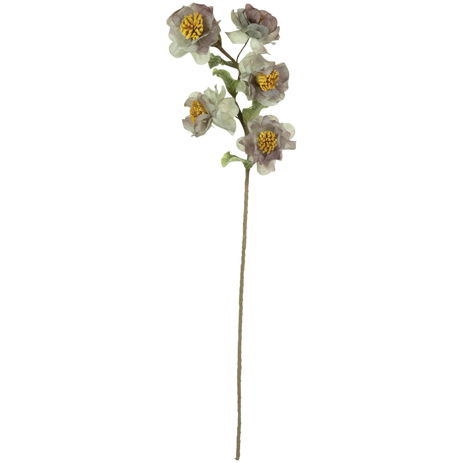 Botanical Pink Sweet Blooms Greenery QK1066708