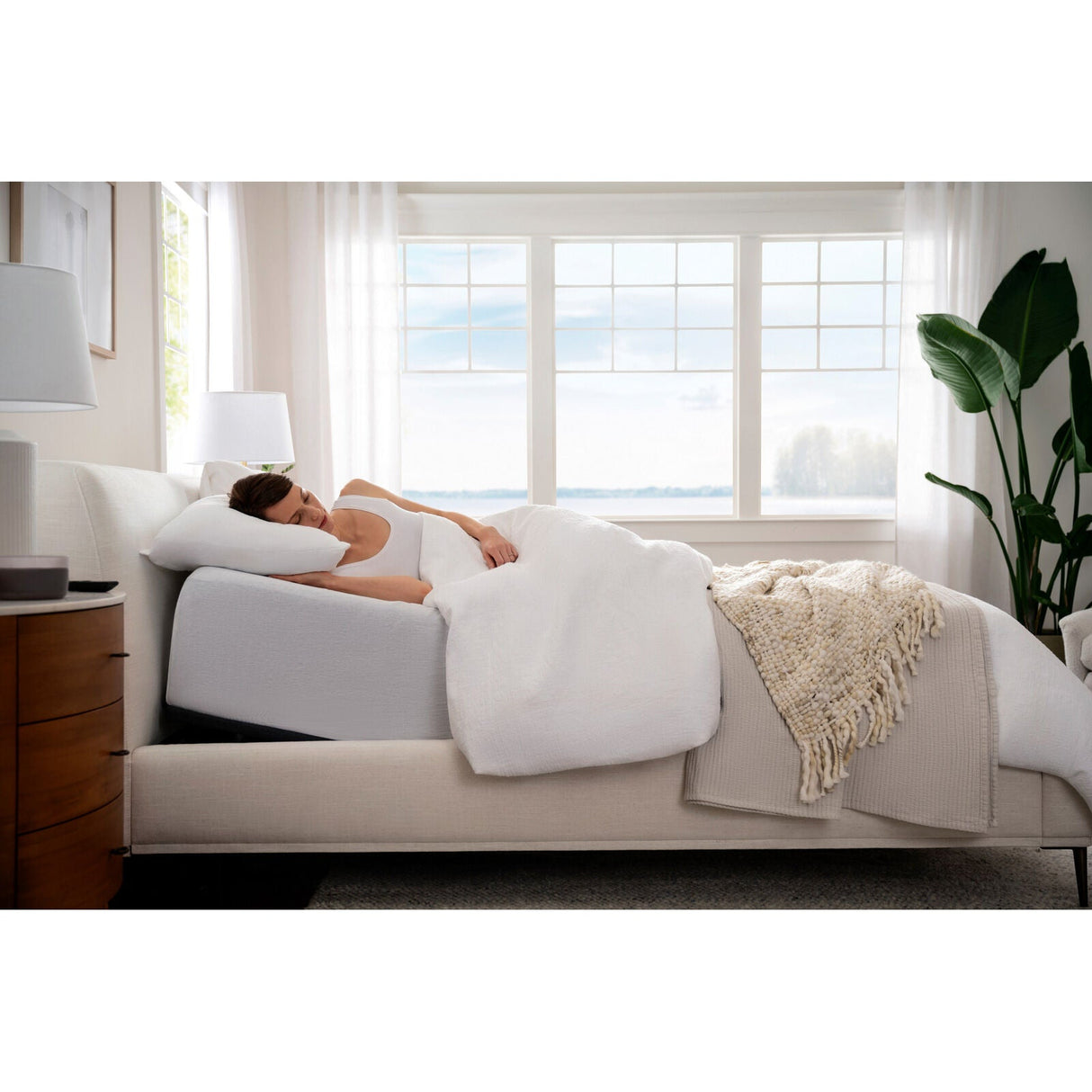 A room setting featuring Purple Premium Plus Twin XL Smart Base