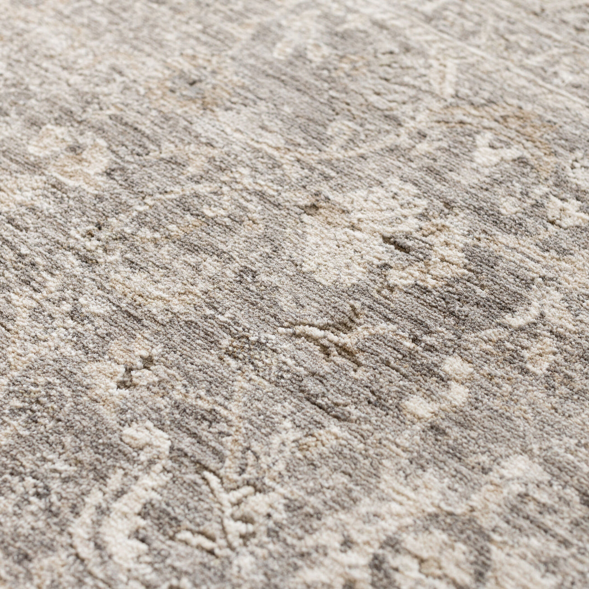 Cyprus Silver Runner - QK1087194_DALY_SW1_SW