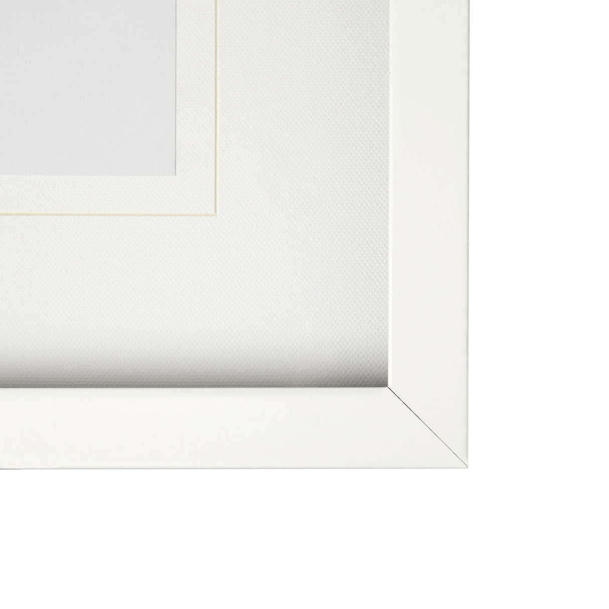 Swatch for the T Rex White Wall Art