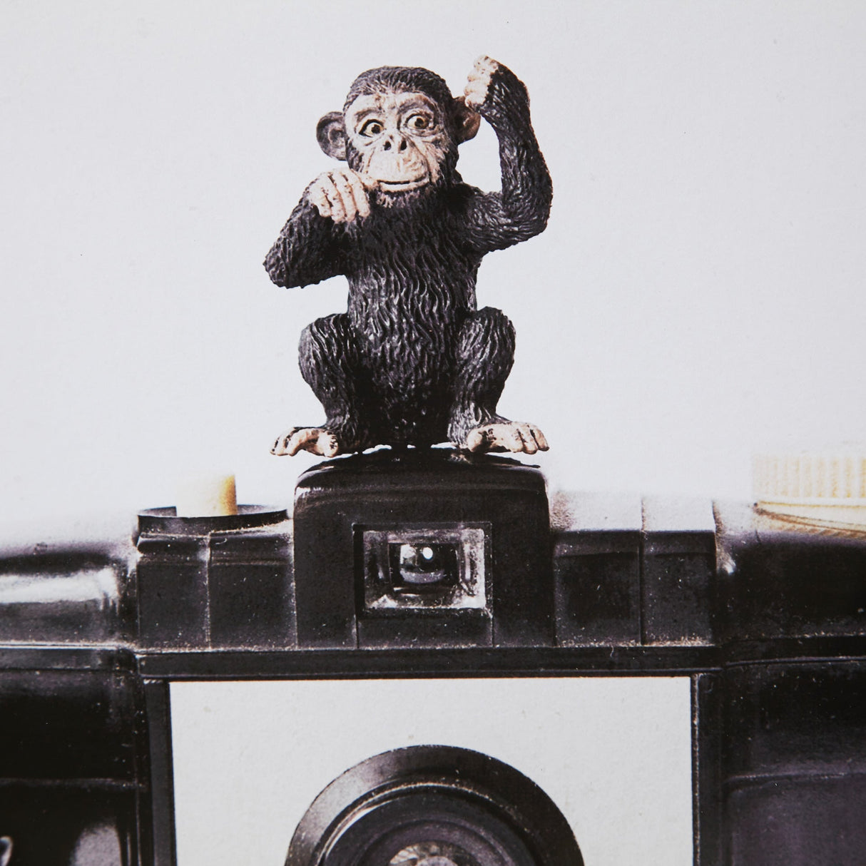 Detail view of Monkeys Black Wall Art