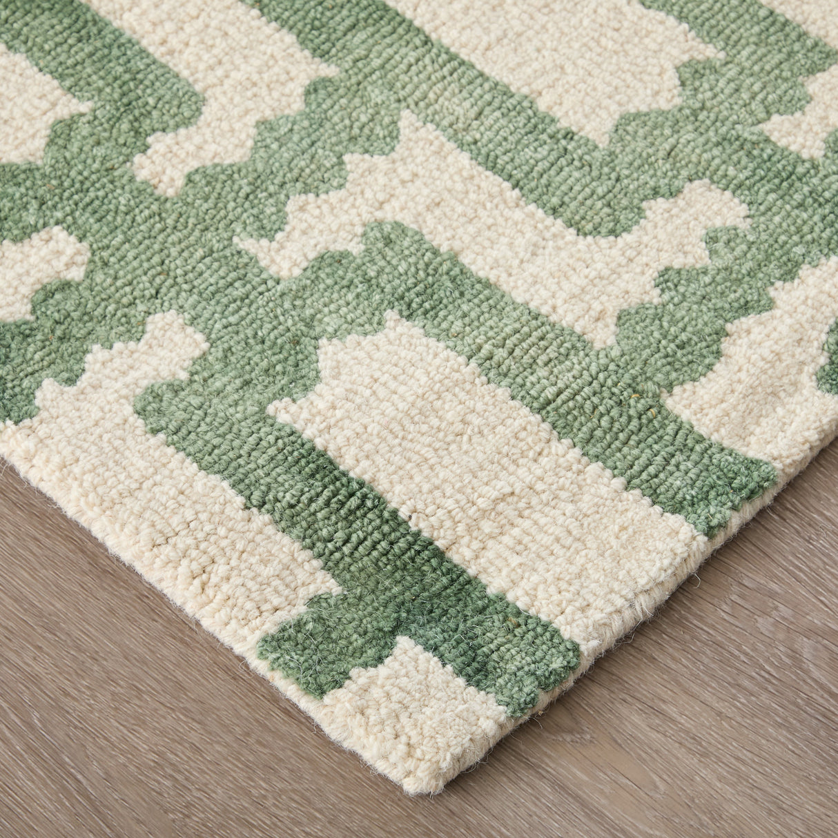 Front left view of Lorrain Verde 8x11 Rug