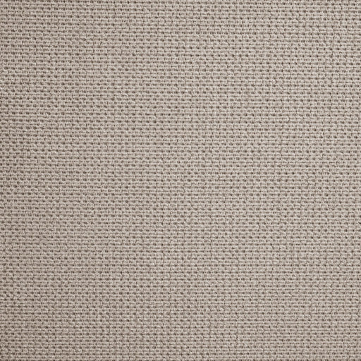 Swatch for the Dash Champagne Reclining Loveseat