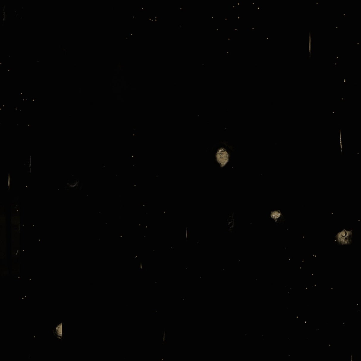 Swatch for the Newton Black Upholstered Dining Chair