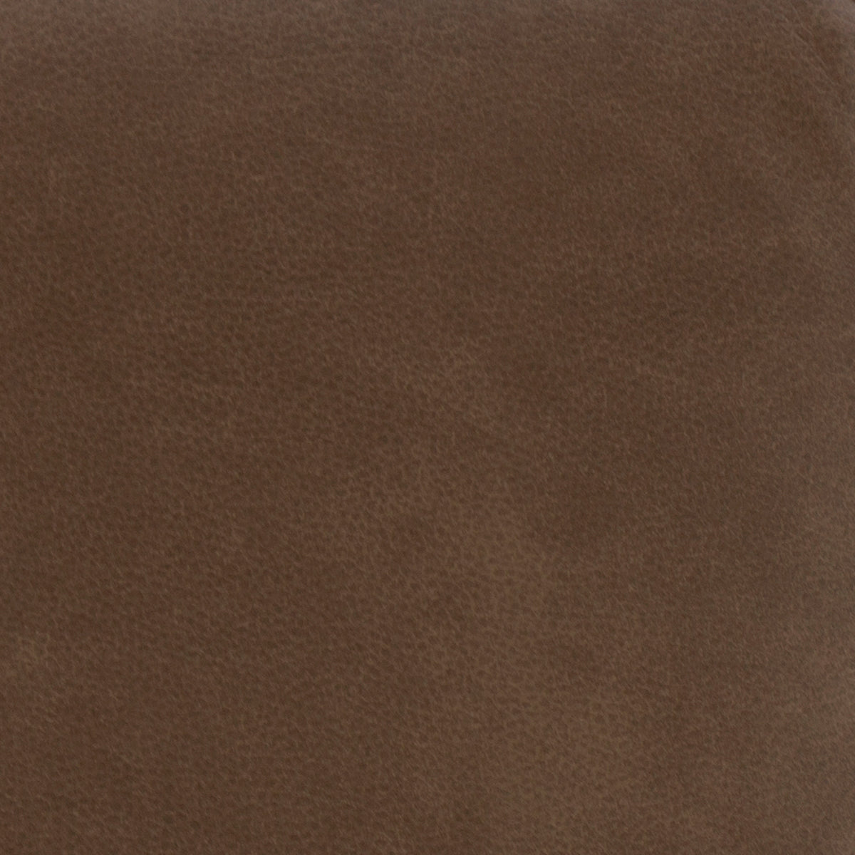 Swatch of the Dylan Cappuccino Power Reclining Sofa
