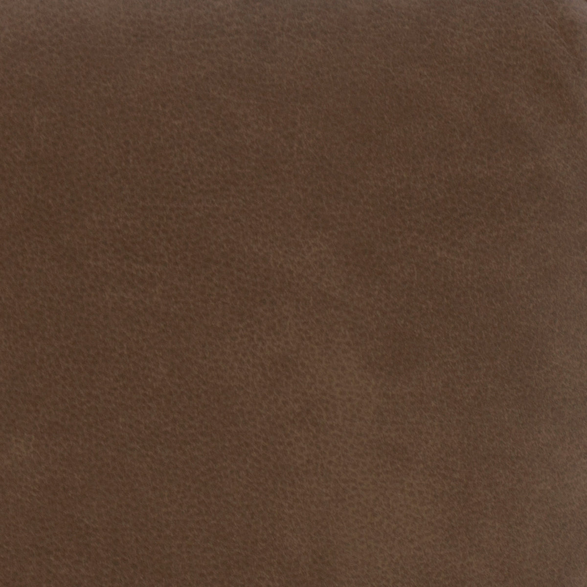 Swatch of the Dylan Cappuccino Power Reclining Sofa