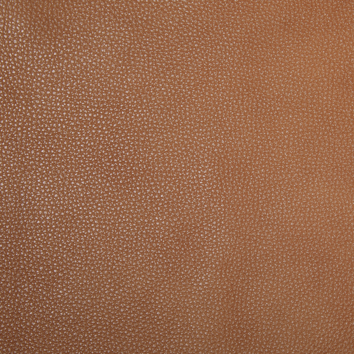 Gavin Dual Power Reclining Sofa