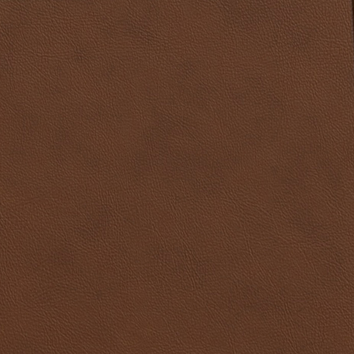 Amelia Power Recliner with Power Headrest and Lumbar