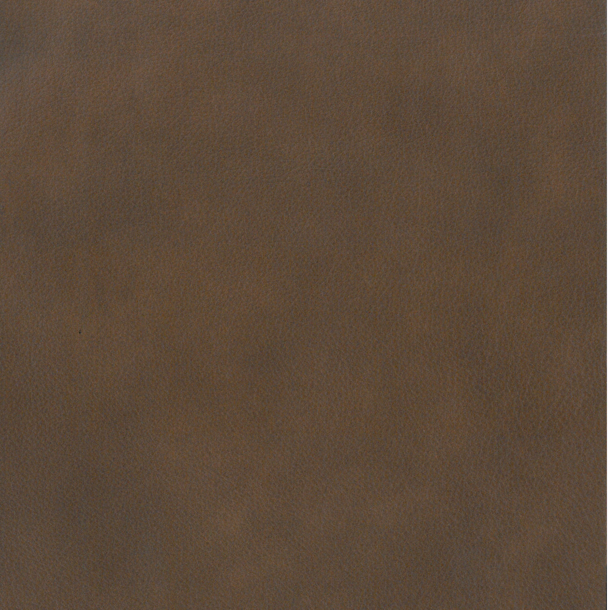 Branford 2 Piece Left Chaise Sectional