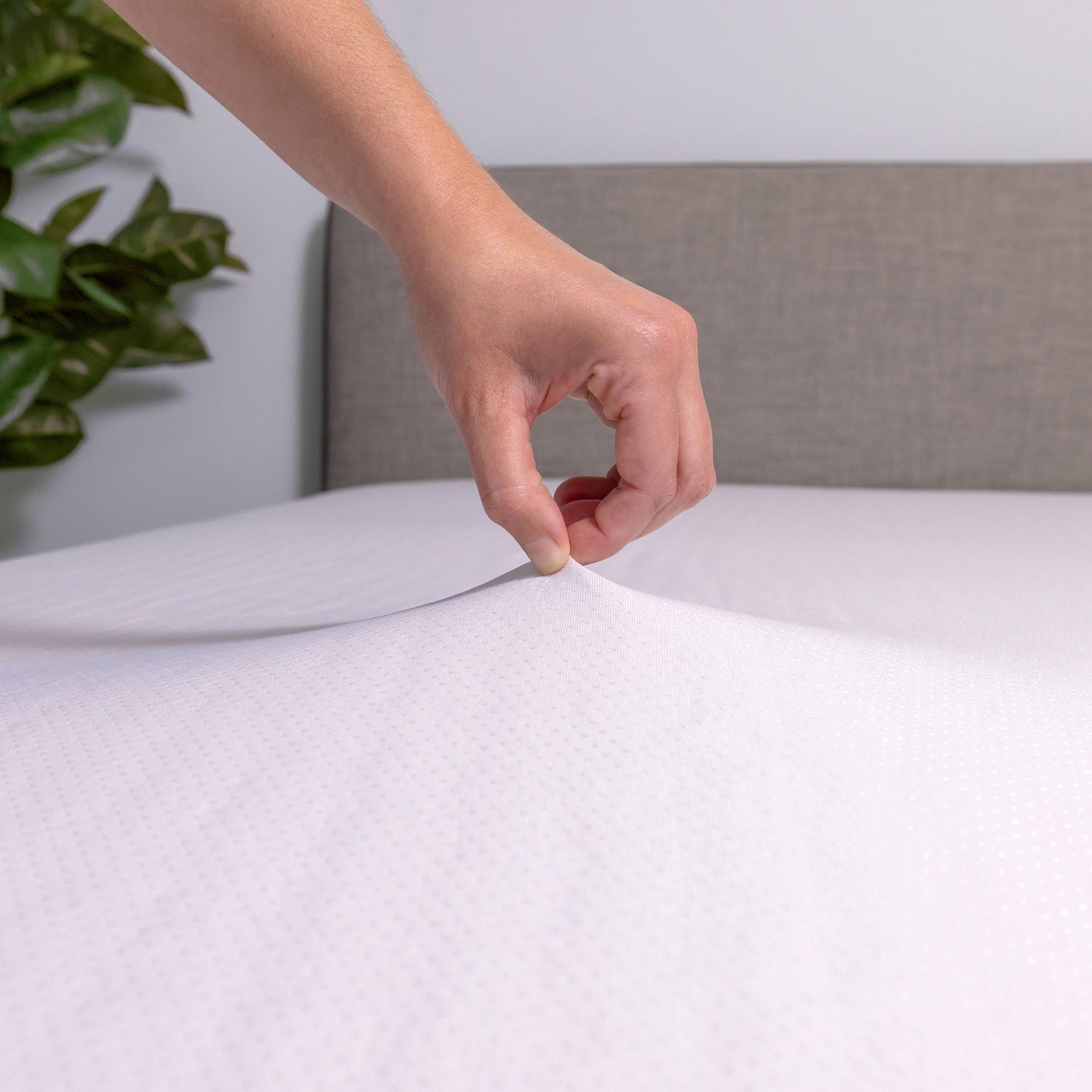 Detail view of Purple Standard Queen Mattress Protector