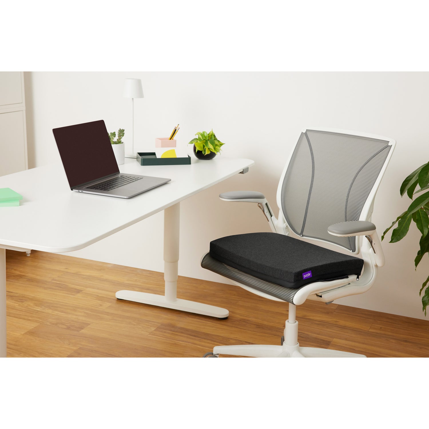 Purple Double Seat Cushion