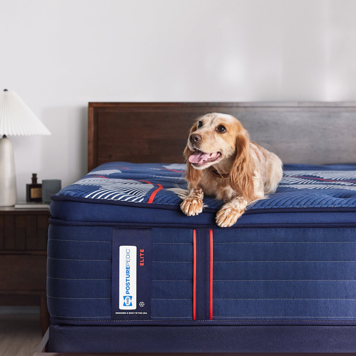 Room setting 2 featuring Sealy Posturepedic Elite Albany Soft Pillowtop California King Mattress