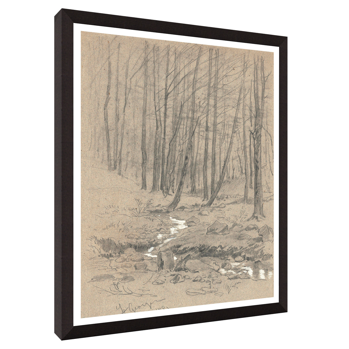 Front right view of Study of Oak Trunk Wall Art