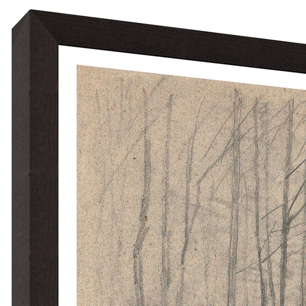 Detail view of Study of Oak Trunk Wall Art