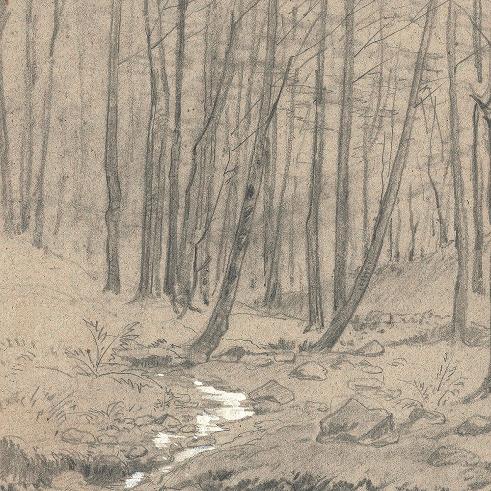 Swatch for the Study of Oak Trunk Wall Art