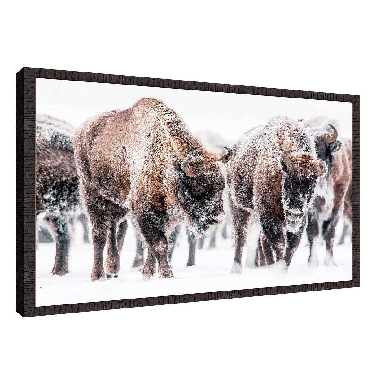 Front right view of Winter Bison Wall Art