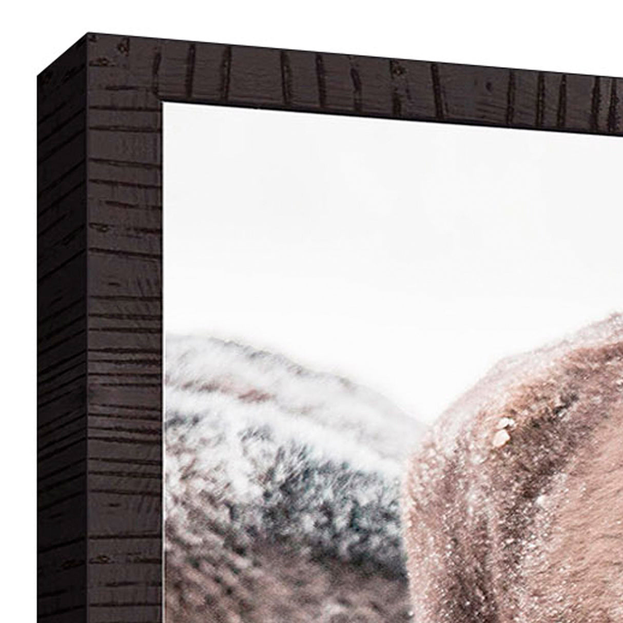 Detail view of Winter Bison Wall Art