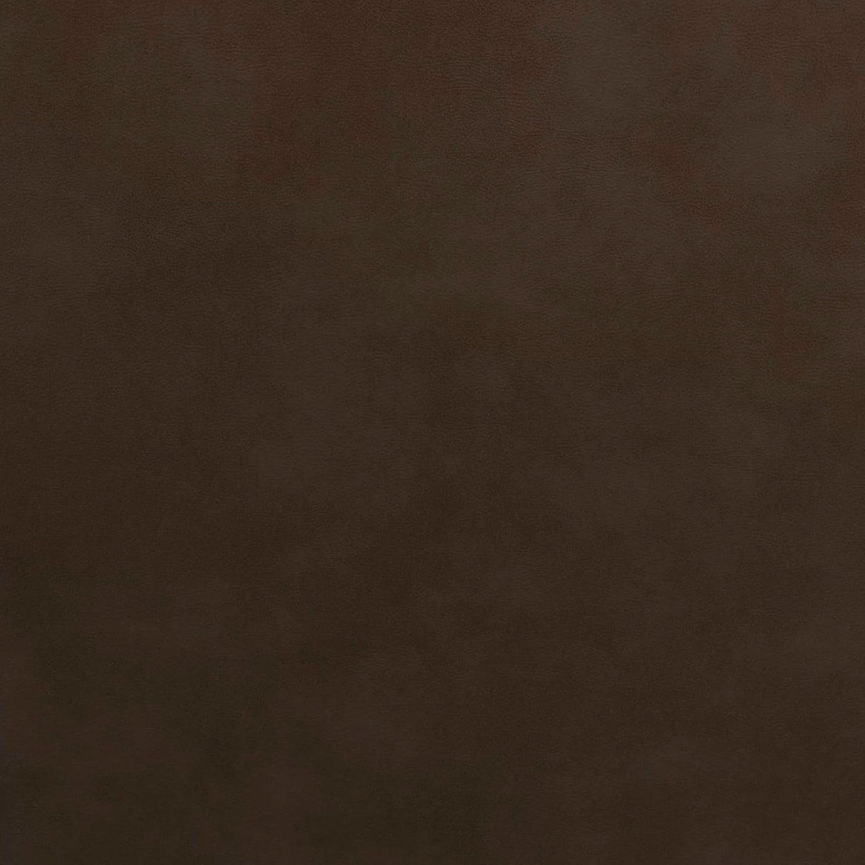 Belmont Rocker Recliner