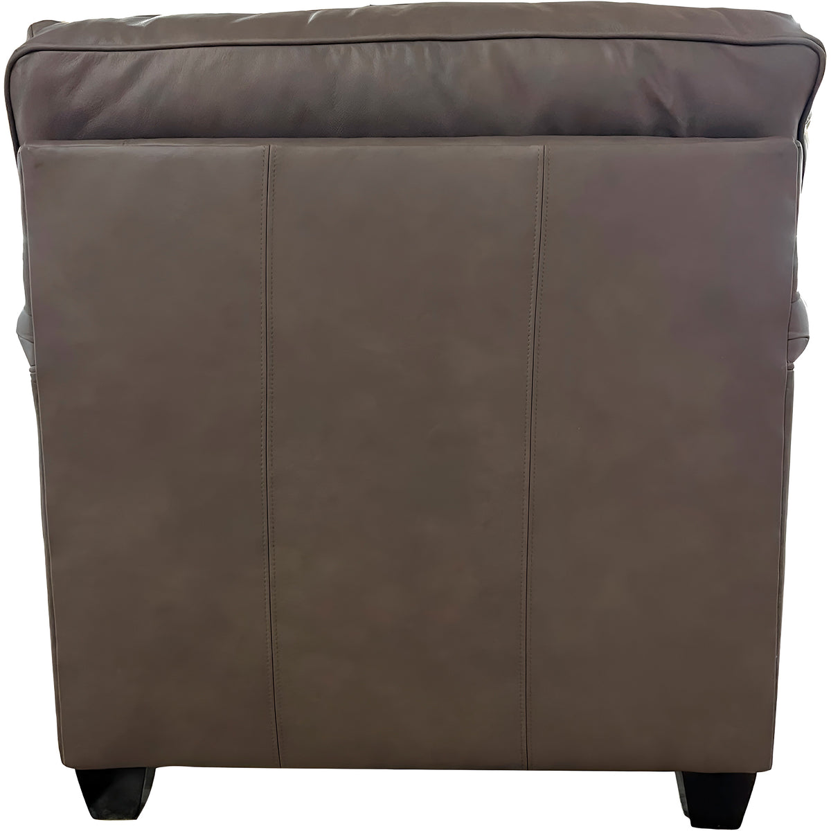 Back view of Warren Chocolate Feather Blend Leather Chair