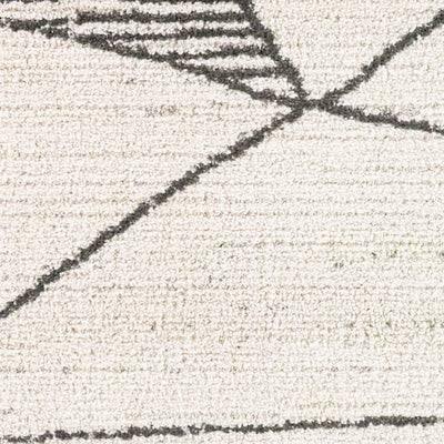 Swatch for the Barrell Charcoal 5x8 Abstract Rug