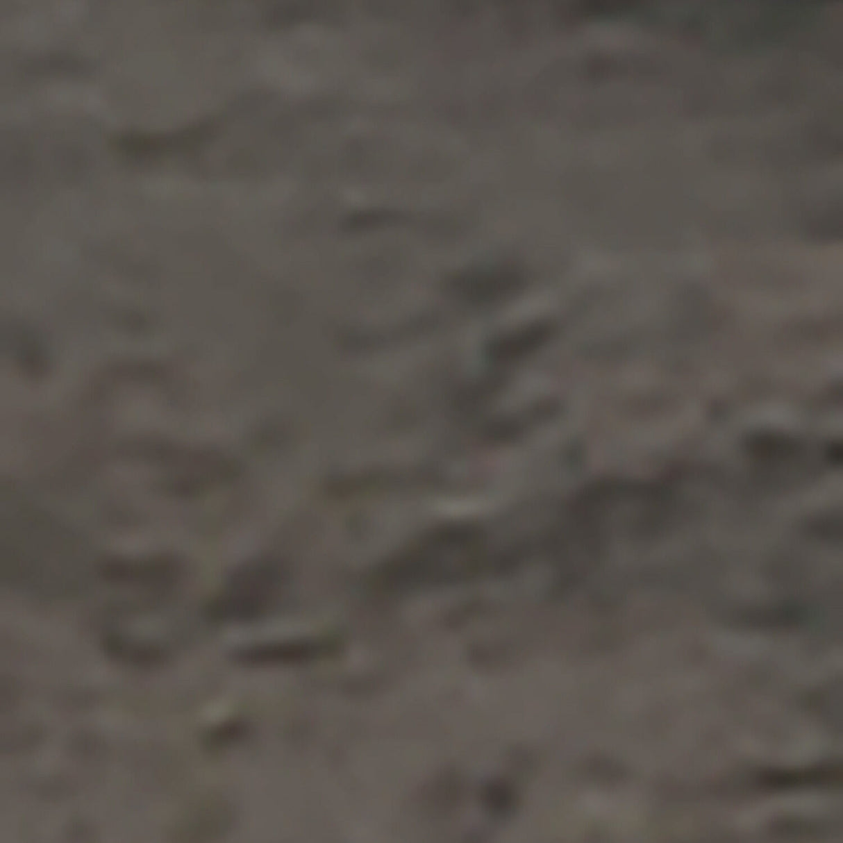 Caitbrook 5 Piece Backless Counter Dining Set - QK1013416_ASHL_SW1_SW