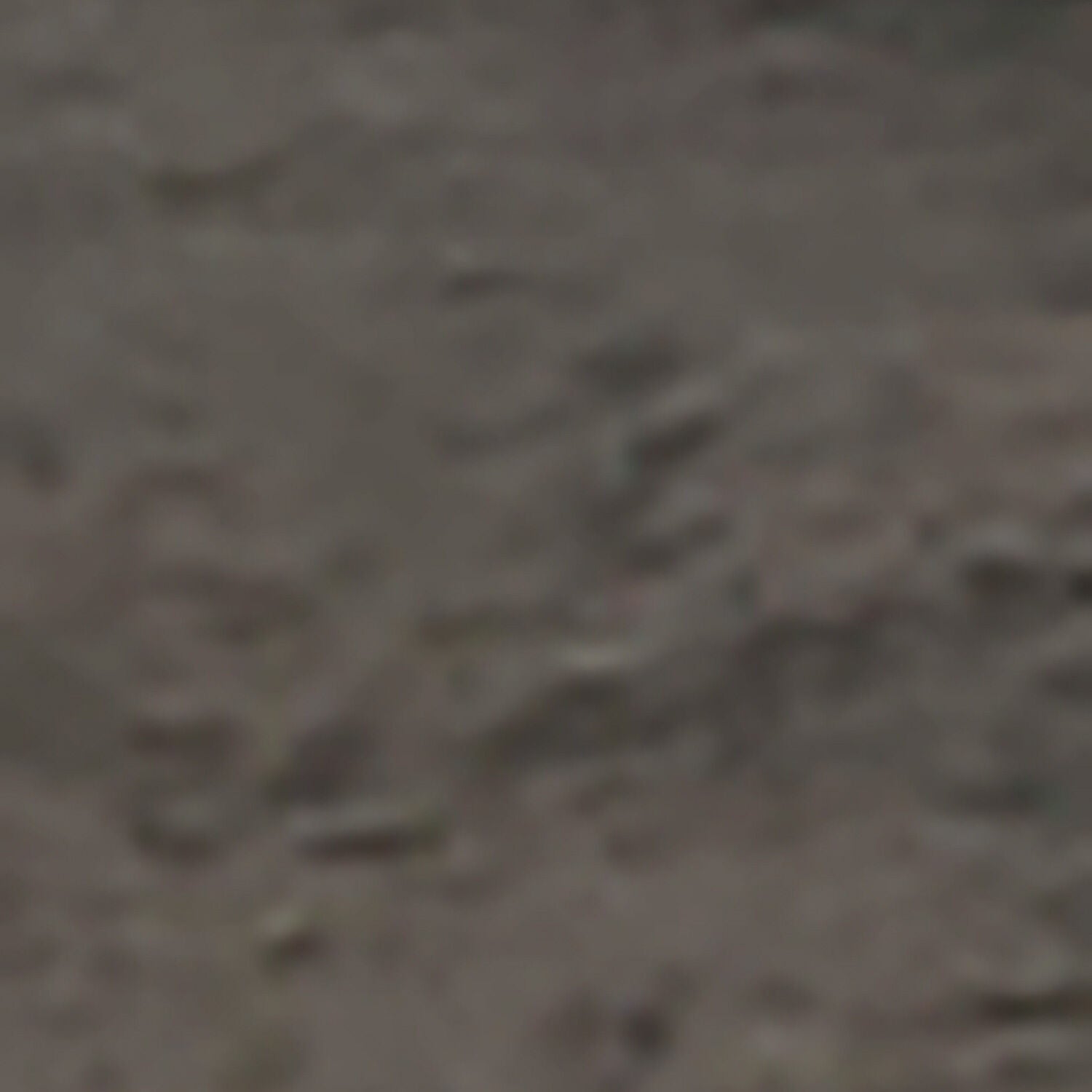 Caitbrook 5 Piece X Back Counter Dining Set - QK1013417_ASHL_SW1_SW