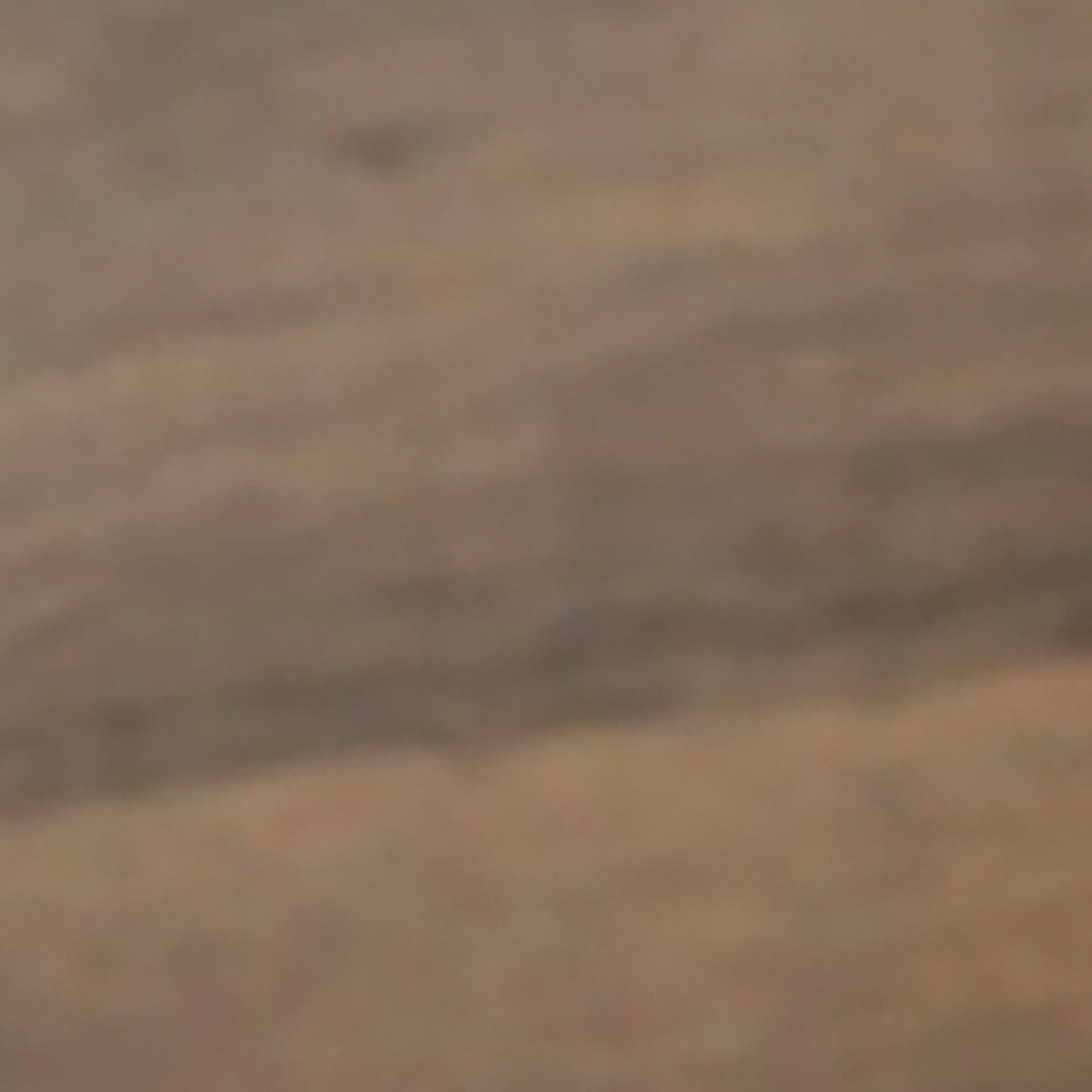 Juararo Panel Bed - QK1029179_ASHL_SW1_SW