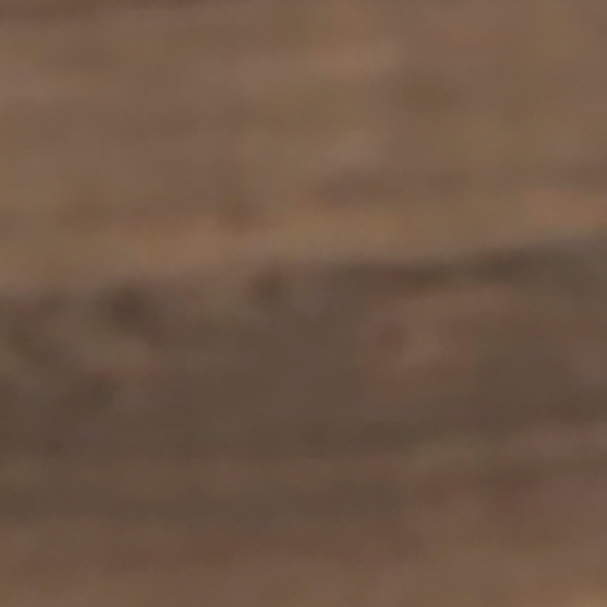 Juararo Panel Bed - QK1029184_ASHL_SW1_SW