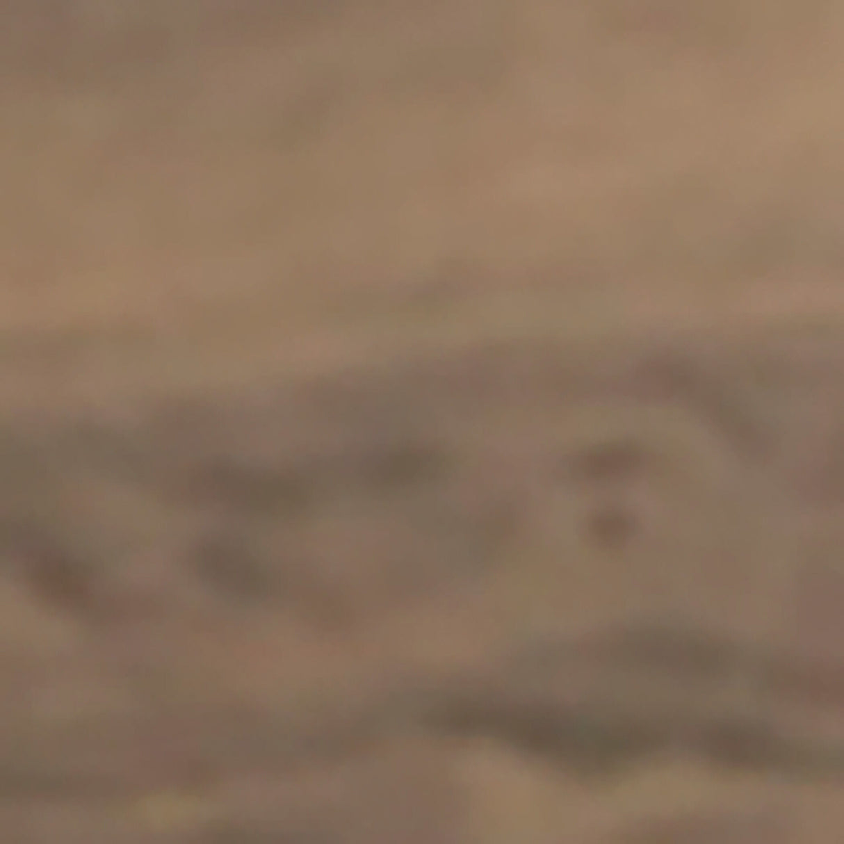 Juararo Panel Bed - QK1029185_ASHL_SW1_SW