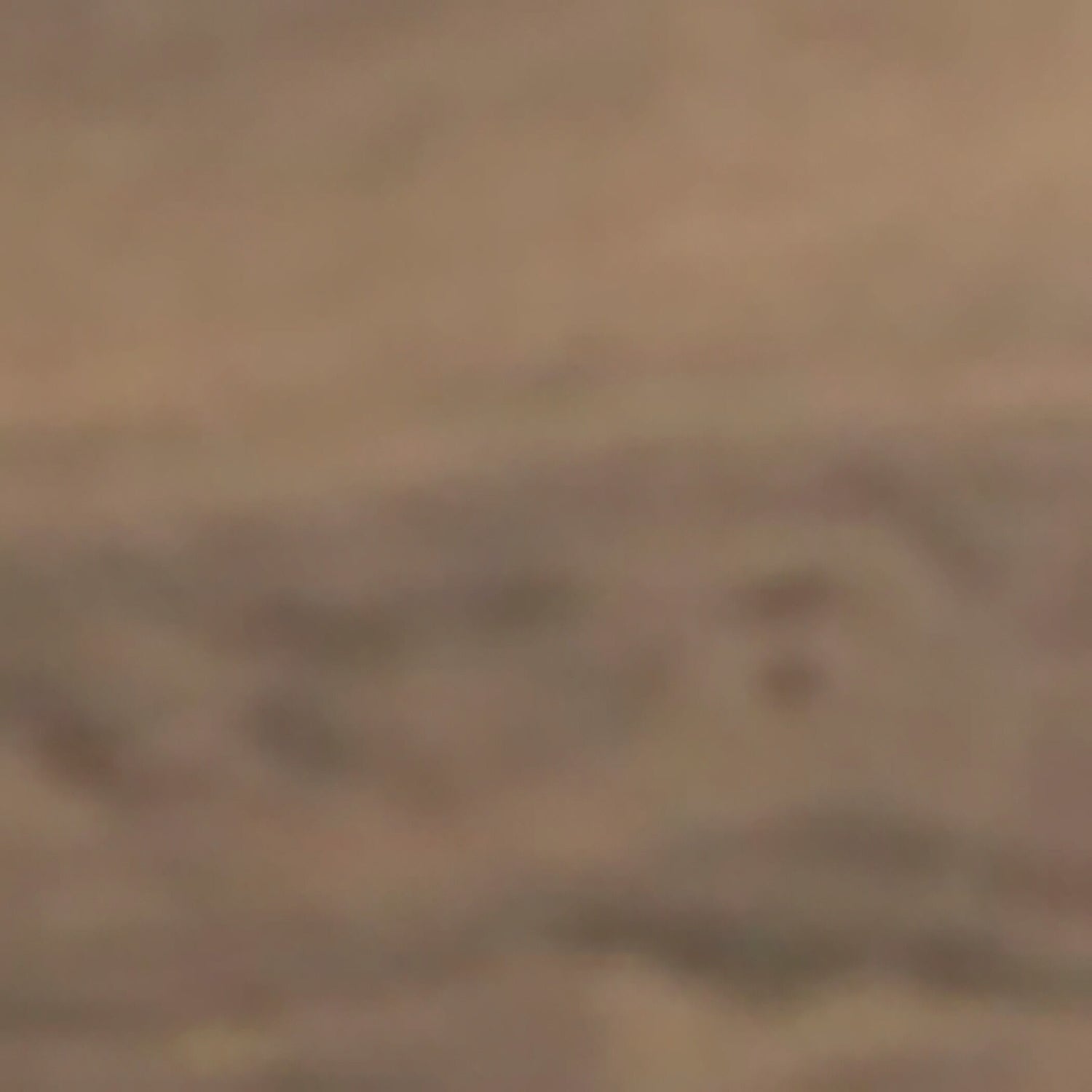 Juararo Panel Bed - QK1029185_ASHL_SW1_SW